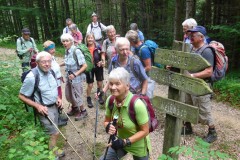 6-Abzweigung-Steig-nach-oben-