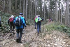 1_5-auf-Forst-Arbeitsstrasse