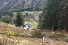 1_9-Blick-hinunter-zur-Steiner-Alm-