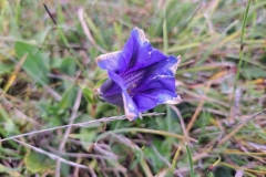IMG-20220914-WA0012