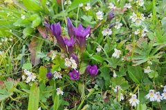 IMG-20220914-WA0013
