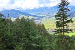 IMG-20221013-WA0012