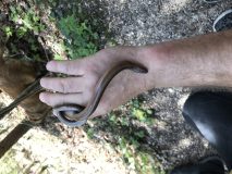 IMG_4333-scaled