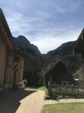 IMG_4335-scaled