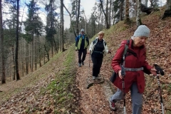 Weg zum Kienbergkreuz bzw. zur Jochbergstraße