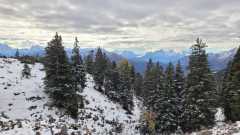 IMG-20231108-WA0017