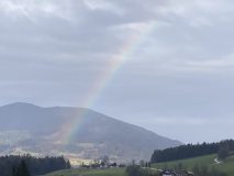 Regenbogen-scaled