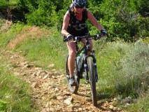 2024-05-29-Camino-DSC03545-Mittel