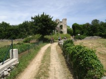 2024-05-30-Kastel-DSC03569-Mittel