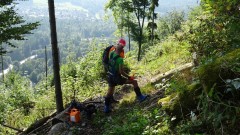 DSC05497-Mittel