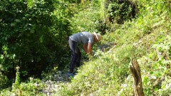 DSC05498-Mittel