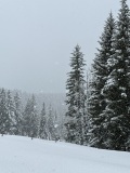 06-IMG_3446