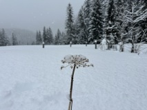 07-IMG_3448