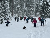 12-IMG_3462