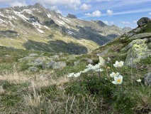 14-IMG_5498