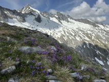 17-IMG_5510