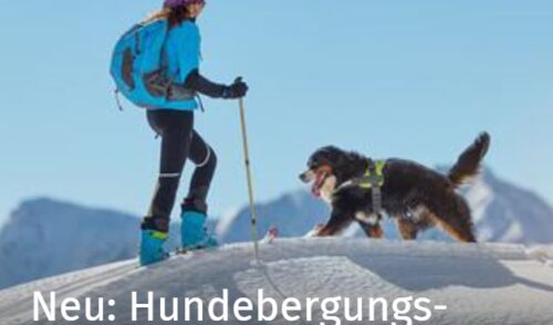 Artikelbild zu Artikel Hundebergungsversicherung