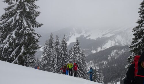 Artikelbild zu Artikel Skitour zum Peitingköpfl (1.720 m) am Sonntag, 22.02.2026