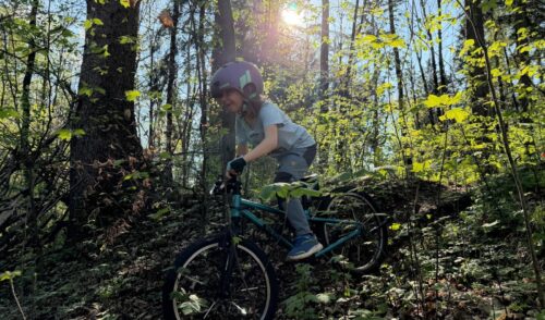 Artikelbild zu Artikel Entdecker – Bike Training im Wald