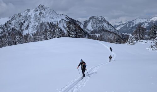 Artikelbild zu Artikel Skitour Filzmooshörndl (2189 m) und Loosbühel (2043 m)
